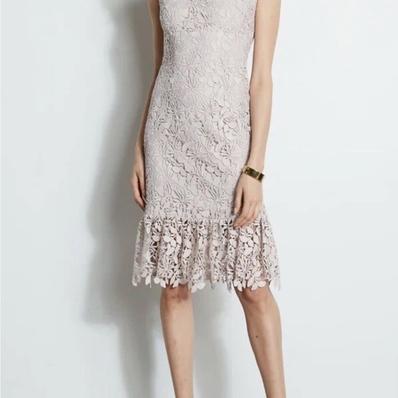 Elegant & Feminine Elie Tahari Vine Lace MIDI Dress Sz 4 $448 Retail NWT! Elegant & Feminine Elie Tahari Vine Lace MIDI Dress Sz 4 $448 Retail NWT!